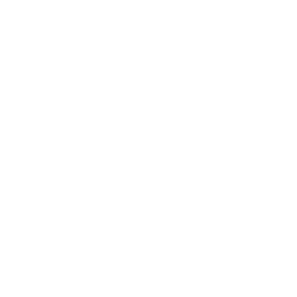 Blesim logo